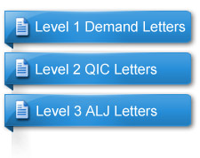 Audit appeals